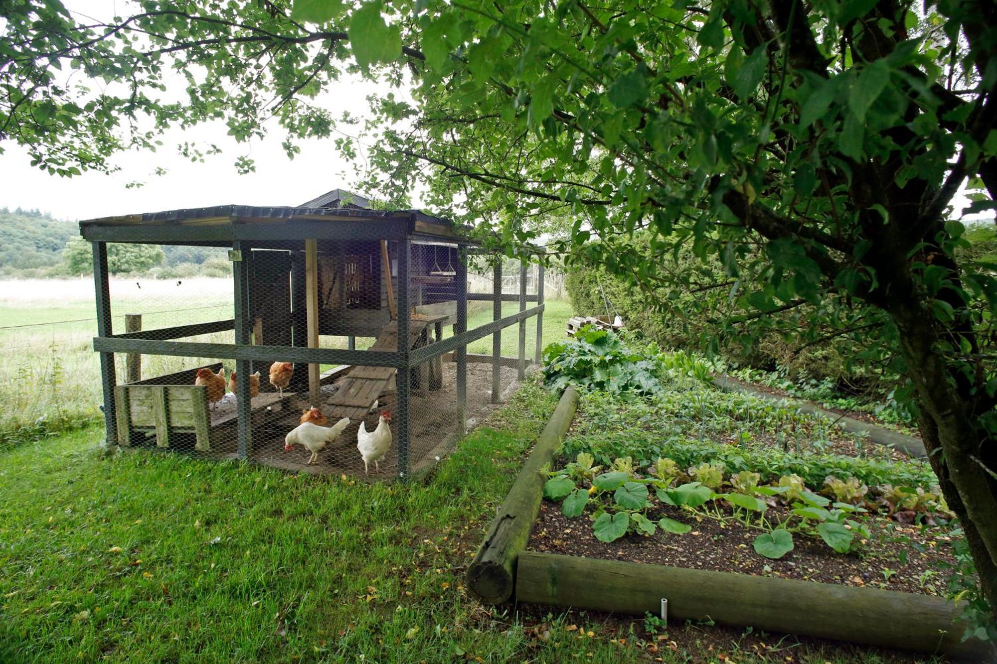 B&B Au Coq En Pate Jalhay Exterior photo