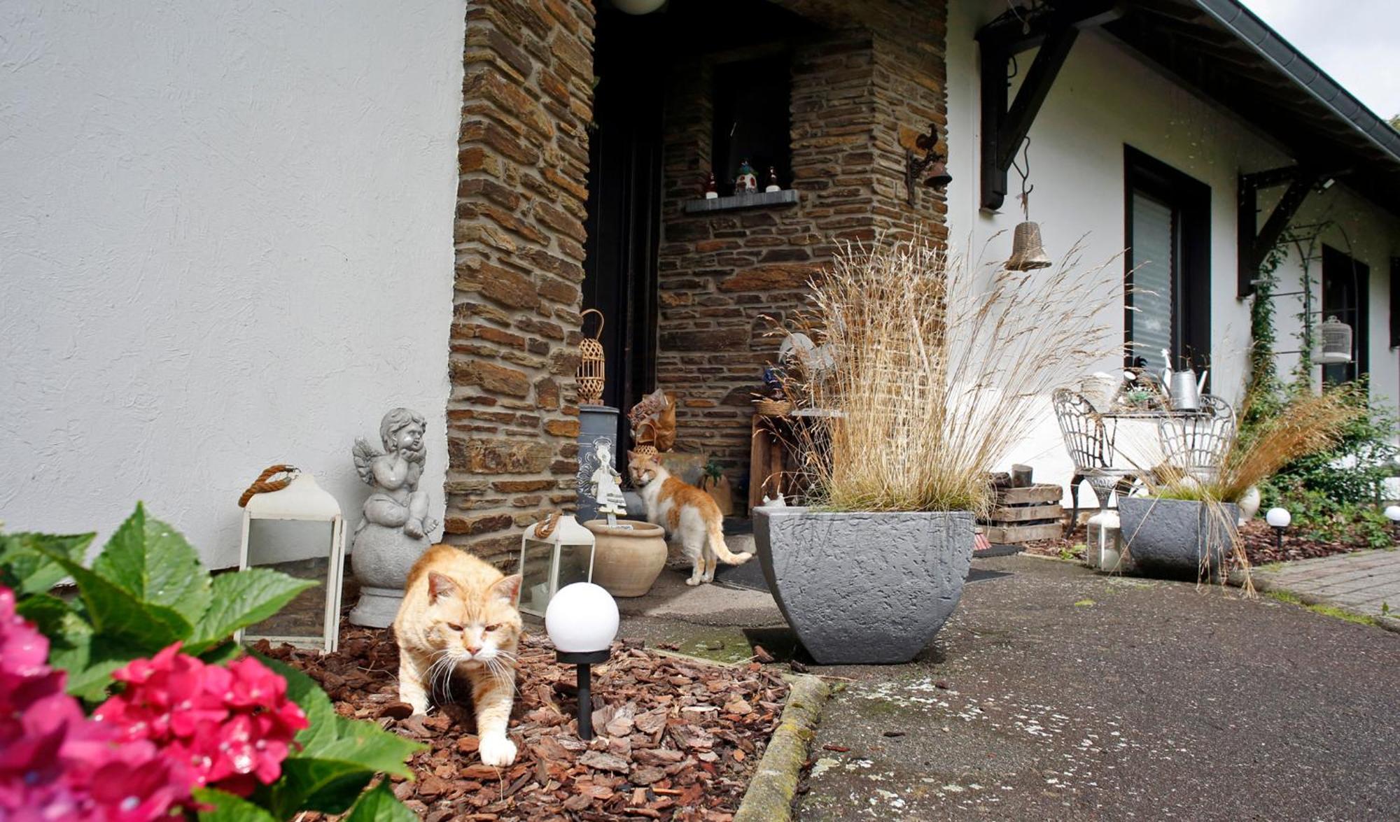 B&B Au Coq En Pate Jalhay Exterior photo